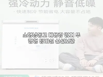 소형냉동고 대용량 김치 뚜껑형 탕비실 관련 이미지 1